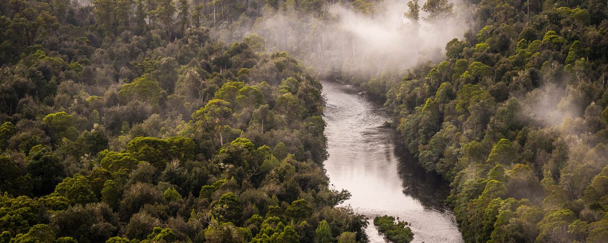 Arthur River, Tarkine Forest, Tasmanië